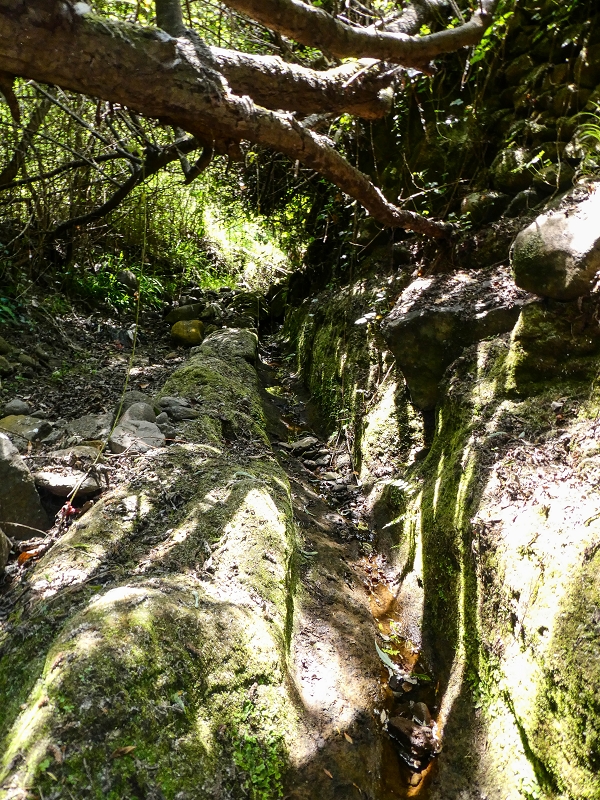 13.05.2019 Ein neuer Aufstieg von Meia Legua nach Eira do Mourao, und die Rätsel der s der Levadas de Baixo und Meio — Levada do Meio — foto 14