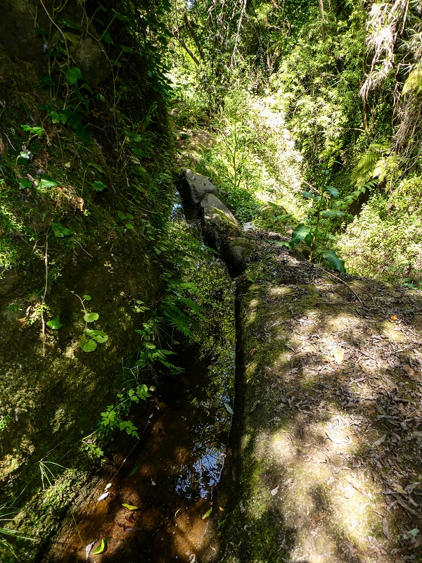 13.05.2019 Ein neuer Aufstieg von Meia Legua nach Eira do Mourao, und die Rätsel der s der Levadas de Baixo und Meio — Levada do Meio — foto 15