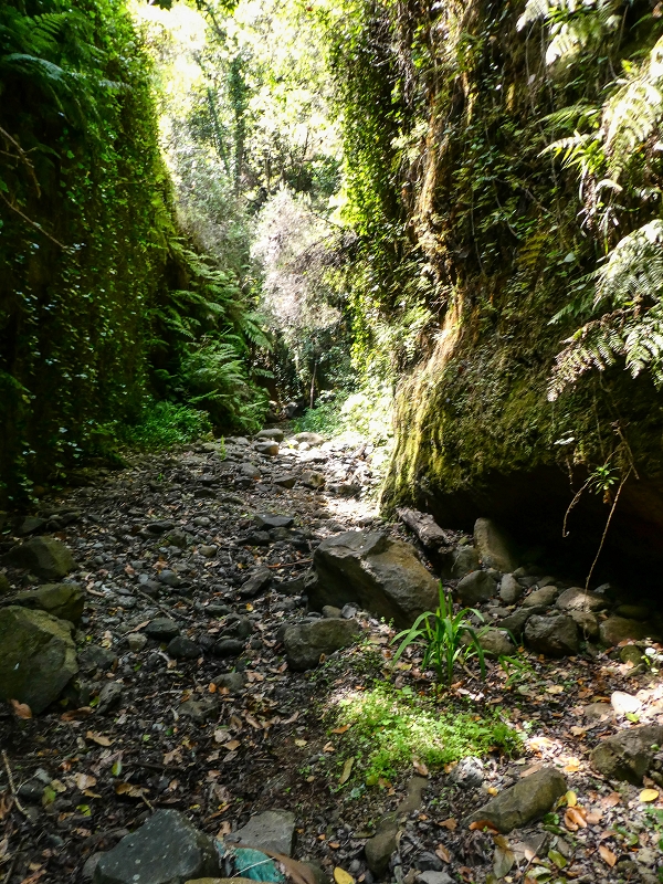 Levada do Meio — Schlucht der Ribeira Funda — Foto 1