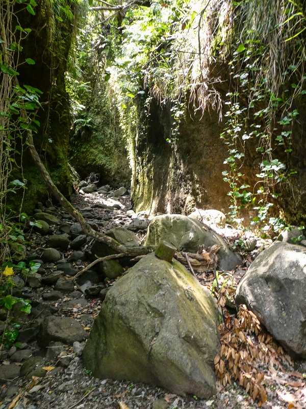 Levada do Meio — Schlucht der Ribeira Funda — Foto 2