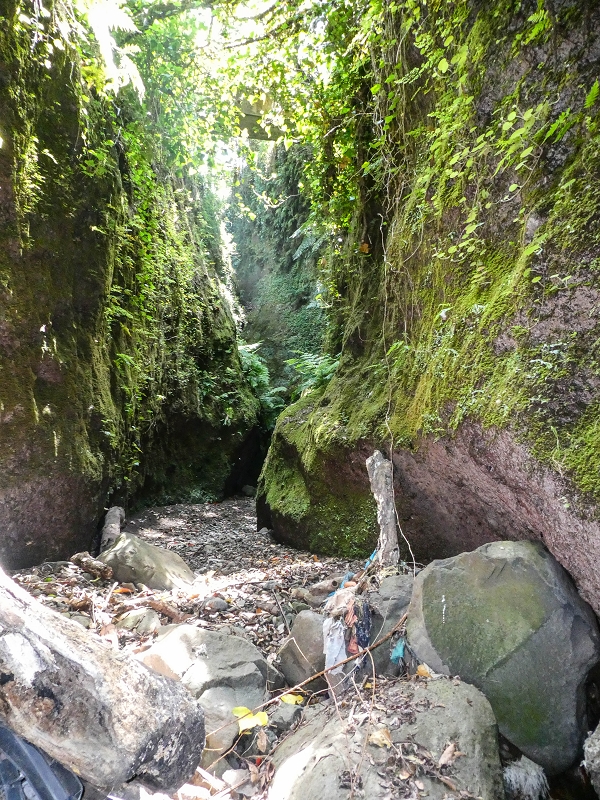 Levada do Meio — Schlucht der Ribeira Funda — Foto 4