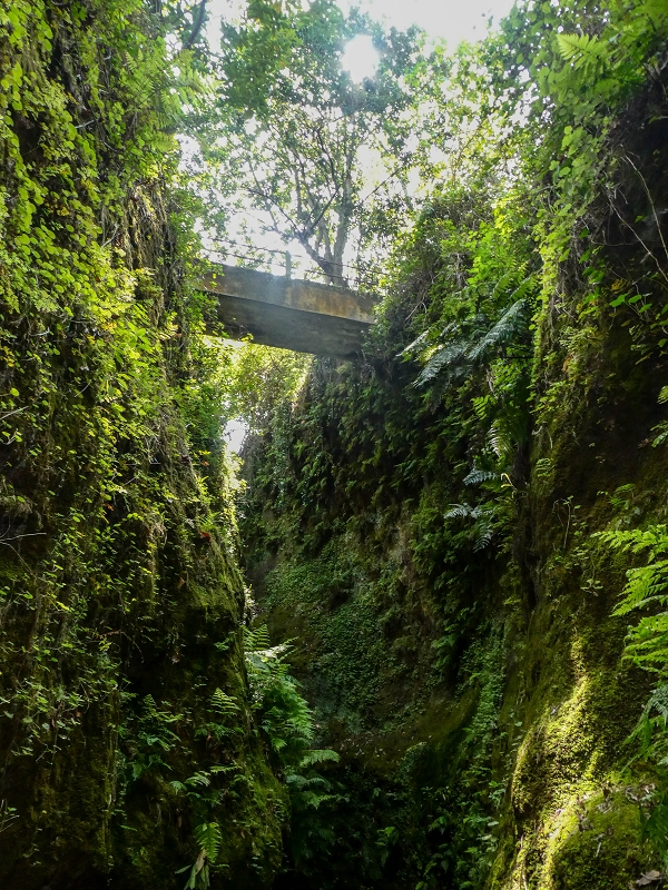 Levada do Meio — Schlucht der Ribeira Funda — Foto 5