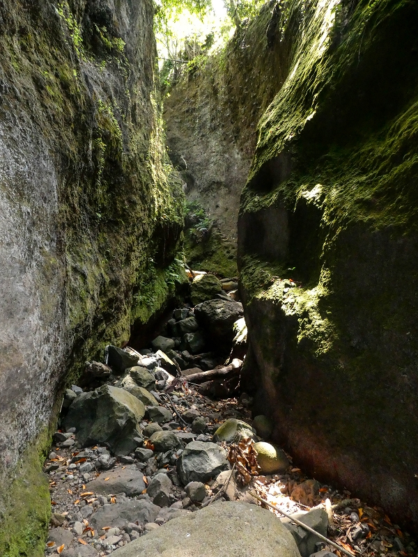 Levada do Meio — Schlucht der Ribeira Funda — Foto 8
