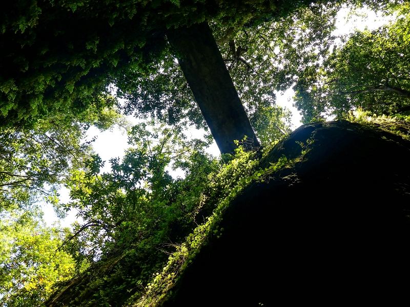 Levada do Meio — Schlucht der Ribeira Funda — Foto 10