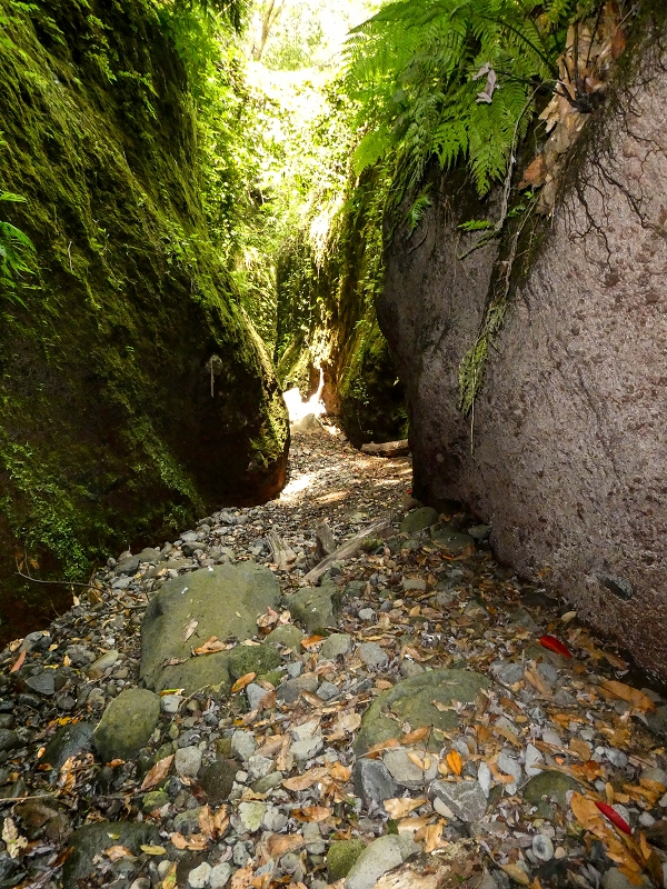 Levada do Meio — Schlucht der Ribeira Funda — Foto 11