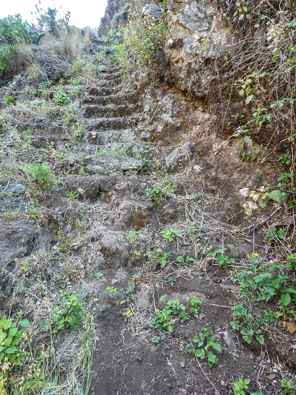 13.05.2019 Ein neuer Aufstieg von Meia Legua nach Eira do Mourao, und die Rätsel der s der Levadas de Baixo und Meio — Subida de Meia Legua até ao troço com corda — foto 17
