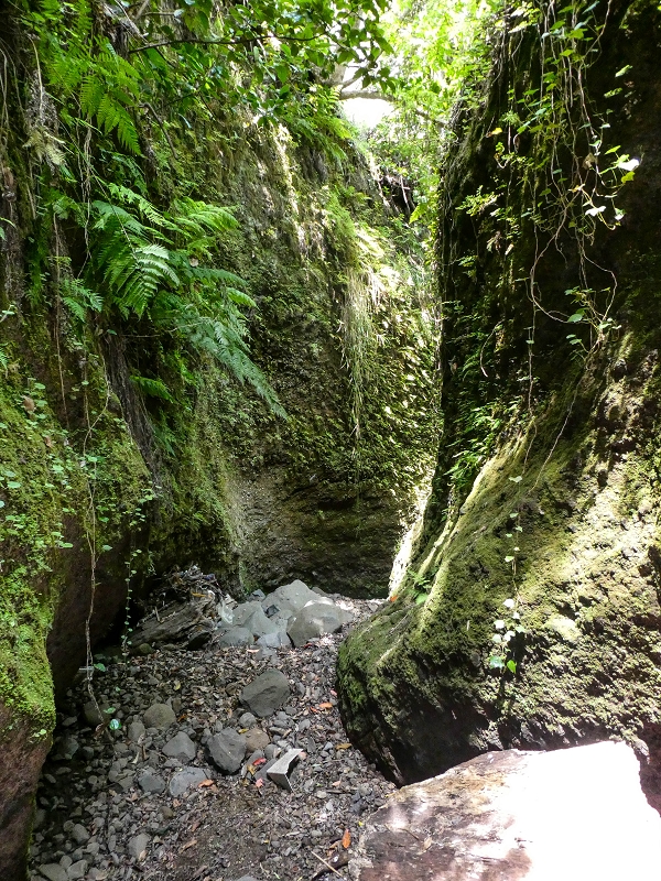 Levada do Meio — Schlucht der Ribeira Funda — Foto 13
