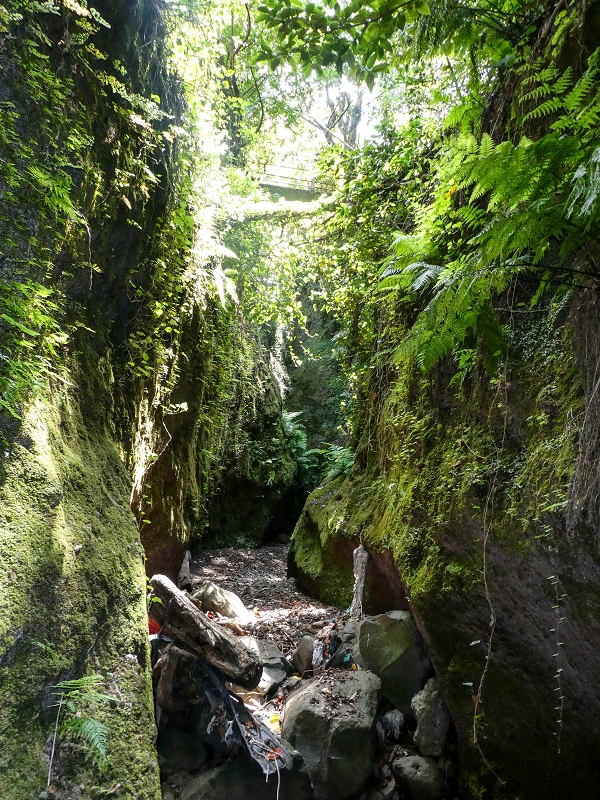 Levada do Meio — Schlucht der Ribeira Funda — Foto 12