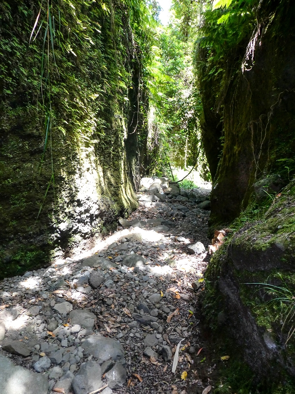 Levada do Meio — Schlucht der Ribeira Funda — Foto 14