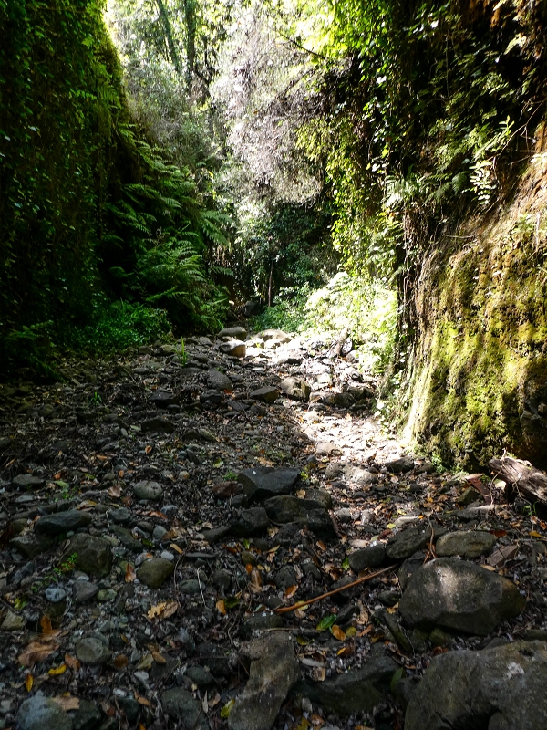 Levada do Meio — Schlucht der Ribeira Funda — Foto 15