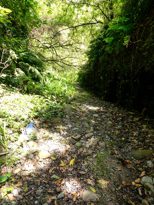 Levada do Meio — Schlucht der Ribeira Funda — Foto 16
