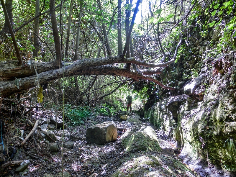 Levada do Meio — Schlucht der Ribeira Funda — Foto 17