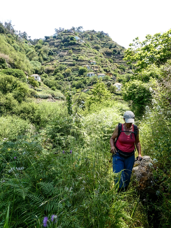 13.05.2019 Ein neuer Aufstieg von Meia Legua nach Eira do Mourao, und die Rätsel der s der Levadas de Baixo und Meio — Levada do Meio — foto 2