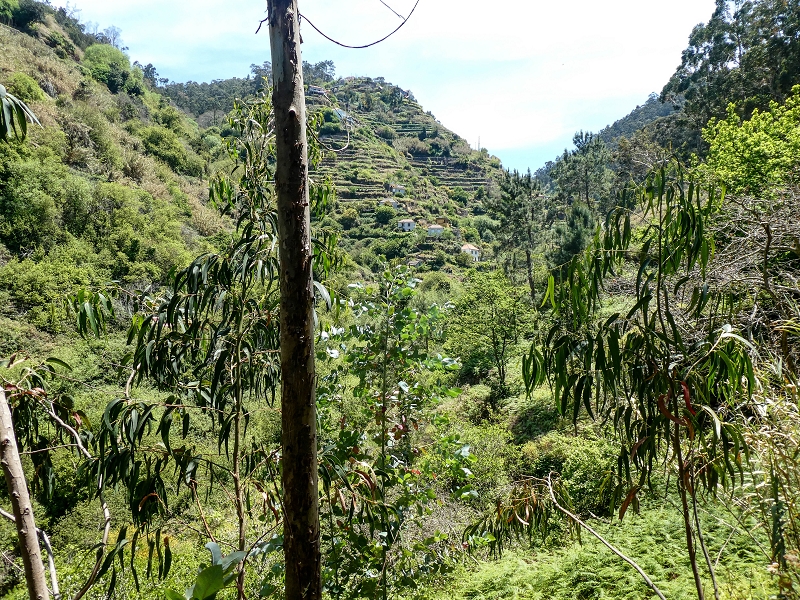 13.05.2019 Ein neuer Aufstieg von Meia Legua nach Eira do Mourao, und die Rätsel der s der Levadas de Baixo und Meio — Levada do Meio — foto 4