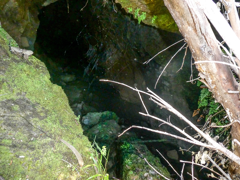 13.05.2019 Ein neuer Aufstieg von Meia Legua nach Eira do Mourao, und die Rätsel der s der Levadas de Baixo und Meio — Subida à Levada do Meio — foto 2