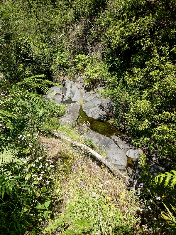 13.05.2019 Ein neuer Aufstieg von Meia Legua nach Eira do Mourao, und die Rätsel der s der Levadas de Baixo und Meio — A Levadinha de Baixo superior — foto 6