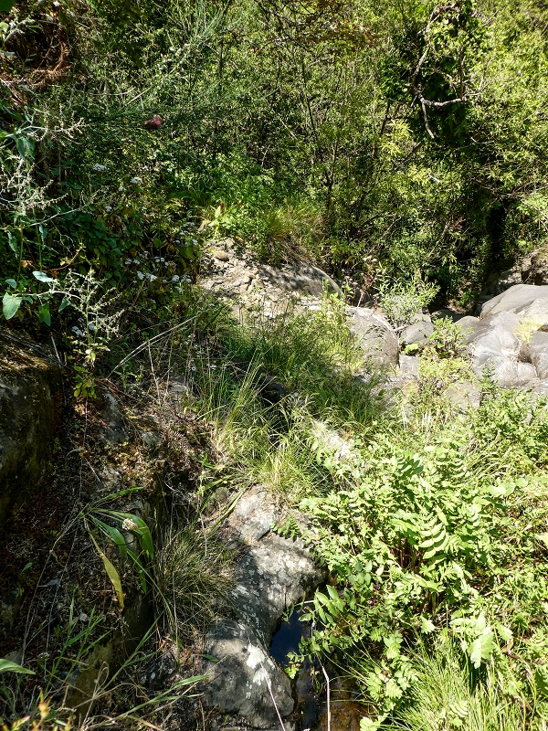 Levada de Baixo — Die Rätselhafte Quelle oberhalb der Madre und die Levadinha de Baixo superior — Foto 3