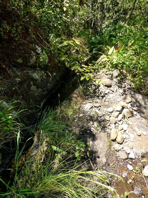 13.05.2019 Ein neuer Aufstieg von Meia Legua nach Eira do Mourao, und die Rätsel der s der Levadas de Baixo und Meio — A Levadinha de Baixo superior — foto 9