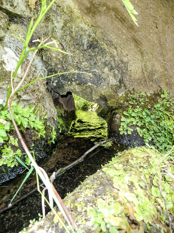 13.05.2019 Ein neuer Aufstieg von Meia Legua nach Eira do Mourao, und die Rätsel der s der Levadas de Baixo und Meio — A Levadinha de Baixo superior — foto 10