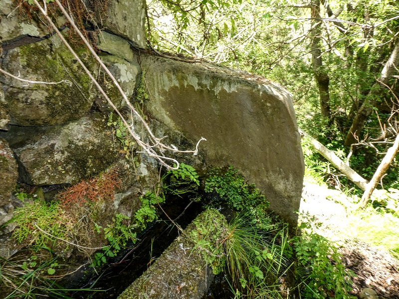 13.05.2019 Ein neuer Aufstieg von Meia Legua nach Eira do Mourao, und die Rätsel der s der Levadas de Baixo und Meio — A Levadinha de Baixo superior — foto 12