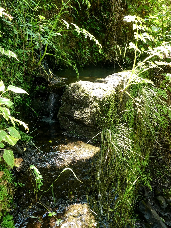 13.05.2019 Ein neuer Aufstieg von Meia Legua nach Eira do Mourao, und die Rätsel der s der Levadas de Baixo und Meio — A Levadinha de Baixo superior — foto 14