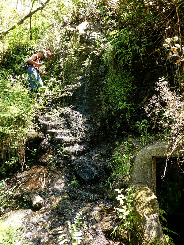 13.05.2019 Ein neuer Aufstieg von Meia Legua nach Eira do Mourao, und die Rätsel der s der Levadas de Baixo und Meio — Os degraus de subida — foto 1