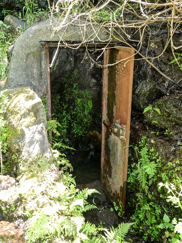 Levada de Baixo — Die Rätselhafte Quelle oberhalb der Madre und die Levadinha de Baixo superior — Foto 6