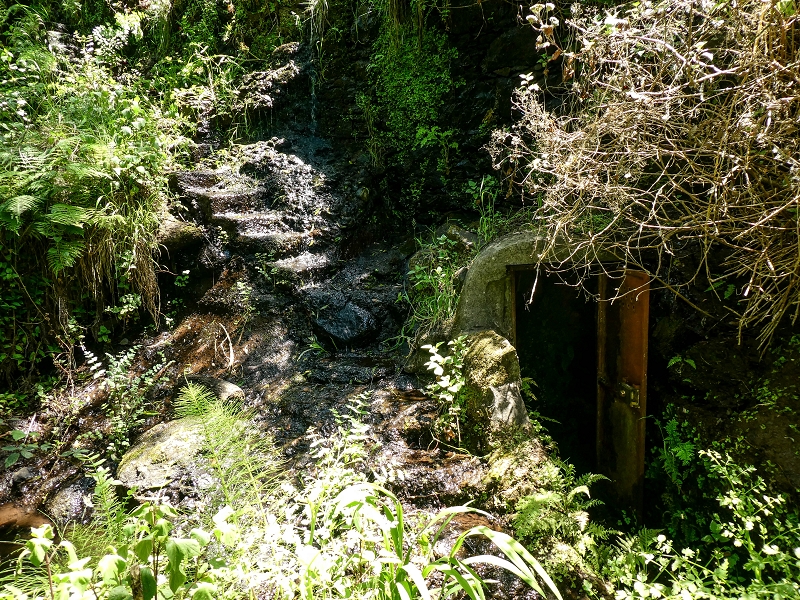 Levada de Baixo — Die Rätselhafte Quelle oberhalb der Madre und die Levadinha de Baixo superior — Foto 4