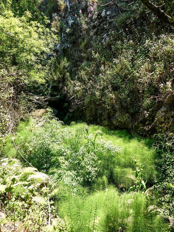 13.05.2019 Ein neuer Aufstieg von Meia Legua nach Eira do Mourao, und die Rätsel der s der Levadas de Baixo und Meio — Seguindo até à casa da nascente — foto 3