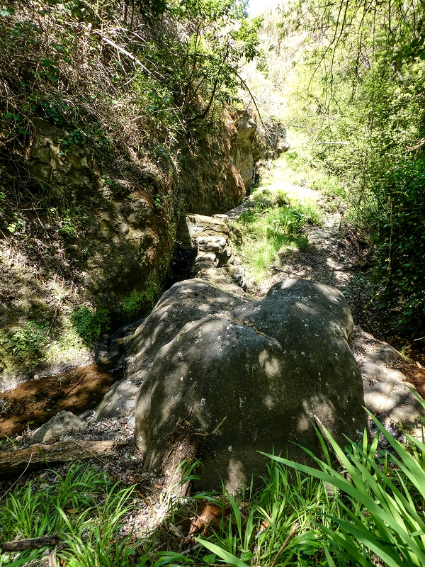 13.05.2019 Ein neuer Aufstieg von Meia Legua nach Eira do Mourao, und die Rätsel der s der Levadas de Baixo und Meio — Até à Madre da Levada de Baixo — foto 11
