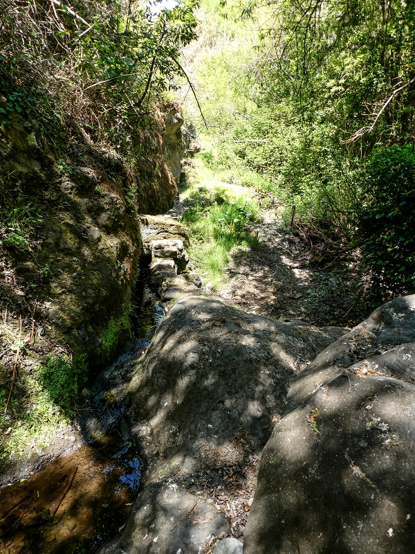 13.05.2019 Ein neuer Aufstieg von Meia Legua nach Eira do Mourao, und die Rätsel der s der Levadas de Baixo und Meio — Até à Madre da Levada de Baixo — foto 12