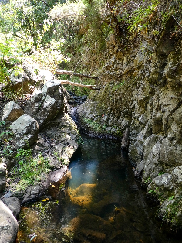 Levada de Baixo — Die Rätselhafte Quelle oberhalb der Madre und die Levadinha de Baixo superior — Foto 8