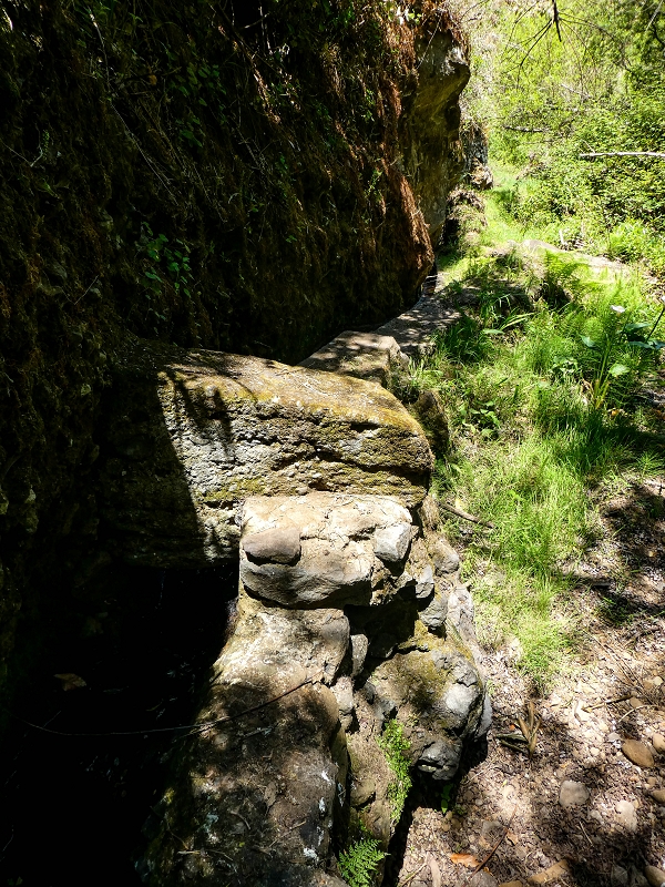 13.05.2019 Ein neuer Aufstieg von Meia Legua nach Eira do Mourao, und die Rätsel der s der Levadas de Baixo und Meio — Na Levada de Baixo — foto 1