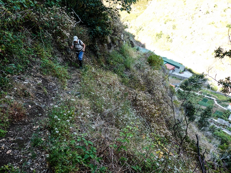 13.05.2019 Ein neuer Aufstieg von Meia Legua nach Eira do Mourao, und die Rätsel der s der Levadas de Baixo und Meio — Subida de Meia Legua até ao troço com corda — foto 20