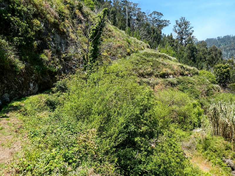 13.05.2019 Ein neuer Aufstieg von Meia Legua nach Eira do Mourao, und die Rätsel der s der Levadas de Baixo und Meio — Na Levada de Baixo — foto 2