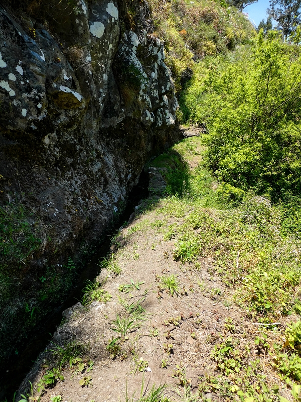 13.05.2019 Ein neuer Aufstieg von Meia Legua nach Eira do Mourao, und die Rätsel der s der Levadas de Baixo und Meio — Na Levada de Baixo — foto 3