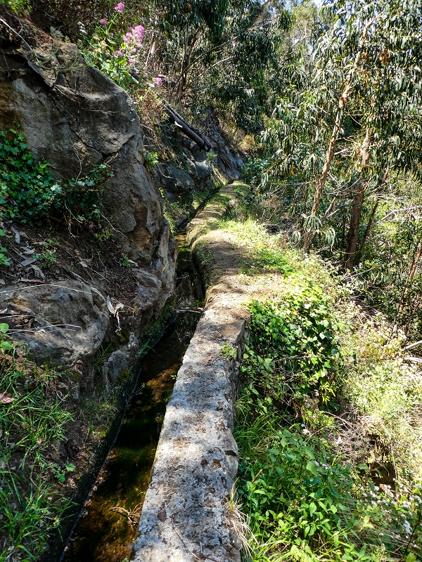 13.05.2019 Ein neuer Aufstieg von Meia Legua nach Eira do Mourao, und die Rätsel der s der Levadas de Baixo und Meio — Na Levada de Baixo — foto 9