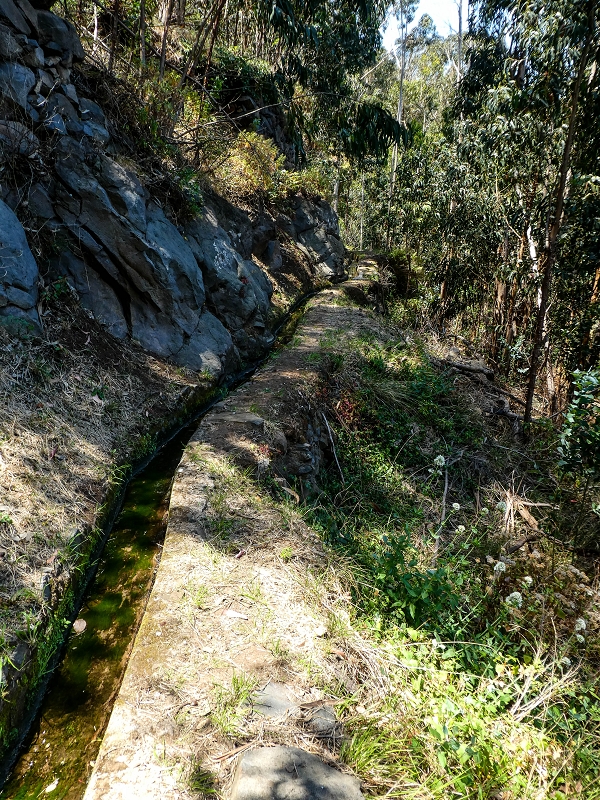 13.05.2019 Ein neuer Aufstieg von Meia Legua nach Eira do Mourao, und die Rätsel der s der Levadas de Baixo und Meio — Na Levada de Baixo — foto 10