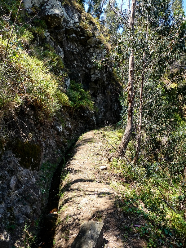 13.05.2019 Ein neuer Aufstieg von Meia Legua nach Eira do Mourao, und die Rätsel der s der Levadas de Baixo und Meio — Na Levada de Baixo — foto 11