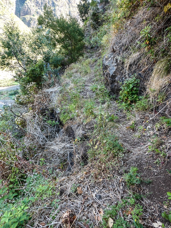 13.05.2019 Ein neuer Aufstieg von Meia Legua nach Eira do Mourao, und die Rätsel der s der Levadas de Baixo und Meio — Subida de Meia Legua até ao troço com corda — foto 21