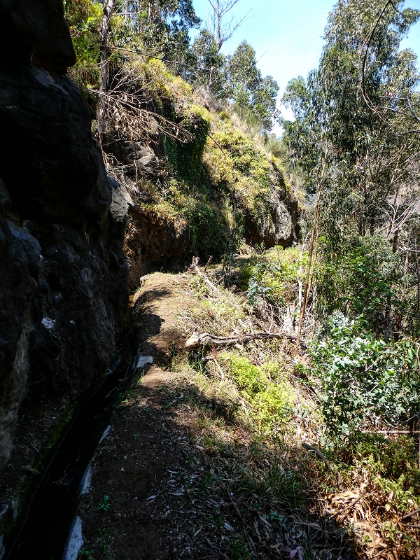 13.05.2019 Ein neuer Aufstieg von Meia Legua nach Eira do Mourao, und die Rätsel der s der Levadas de Baixo und Meio — Na Levada de Baixo — foto 12