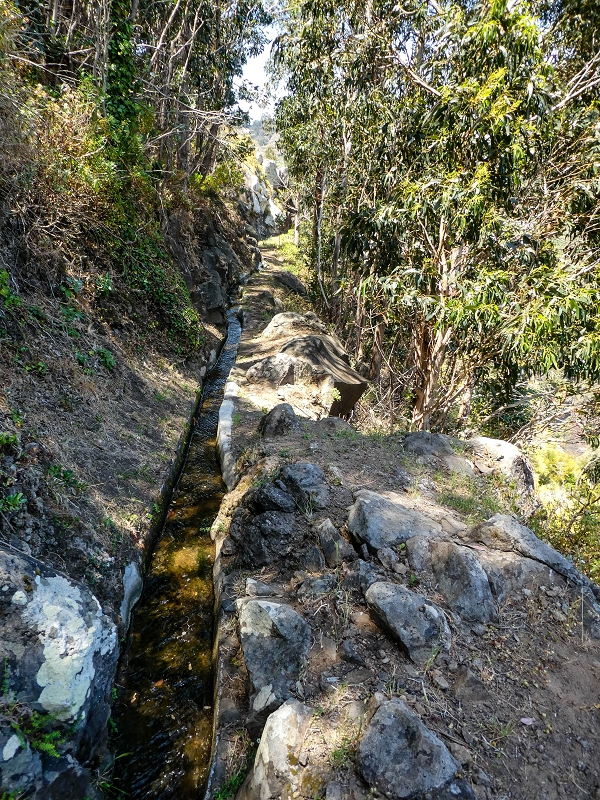13.05.2019 Ein neuer Aufstieg von Meia Legua nach Eira do Mourao, und die Rätsel der s der Levadas de Baixo und Meio — Na Levada de Baixo — foto 14