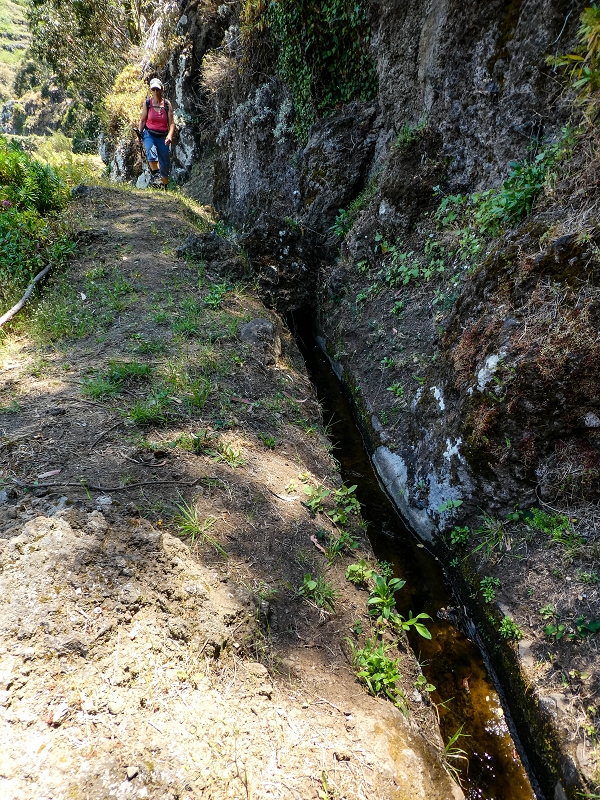 13.05.2019 Ein neuer Aufstieg von Meia Legua nach Eira do Mourao, und die Rätsel der s der Levadas de Baixo und Meio — Na Levada de Baixo — foto 15