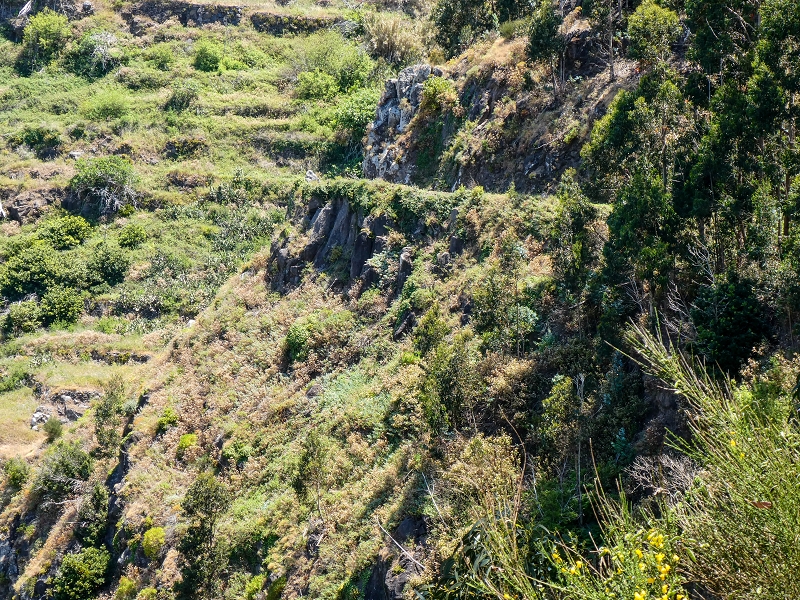 13.05.2019 Ein neuer Aufstieg von Meia Legua nach Eira do Mourao, und die Rätsel der s der Levadas de Baixo und Meio — Na Levada de Baixo — foto 17