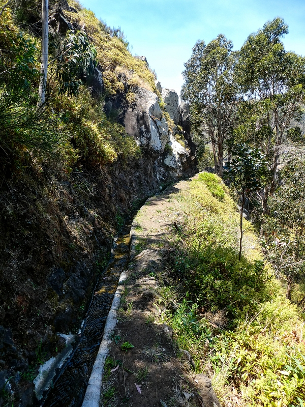 13.05.2019 Ein neuer Aufstieg von Meia Legua nach Eira do Mourao, und die Rätsel der s der Levadas de Baixo und Meio — Na Levada de Baixo — foto 18