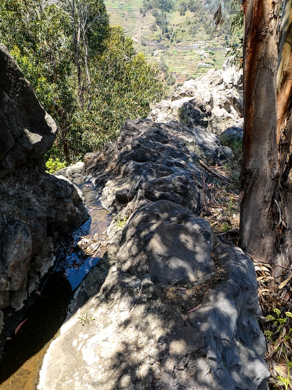 13.05.2019 Ein neuer Aufstieg von Meia Legua nach Eira do Mourao, und die Rätsel der s der Levadas de Baixo und Meio — Na Levada de Baixo — foto 19