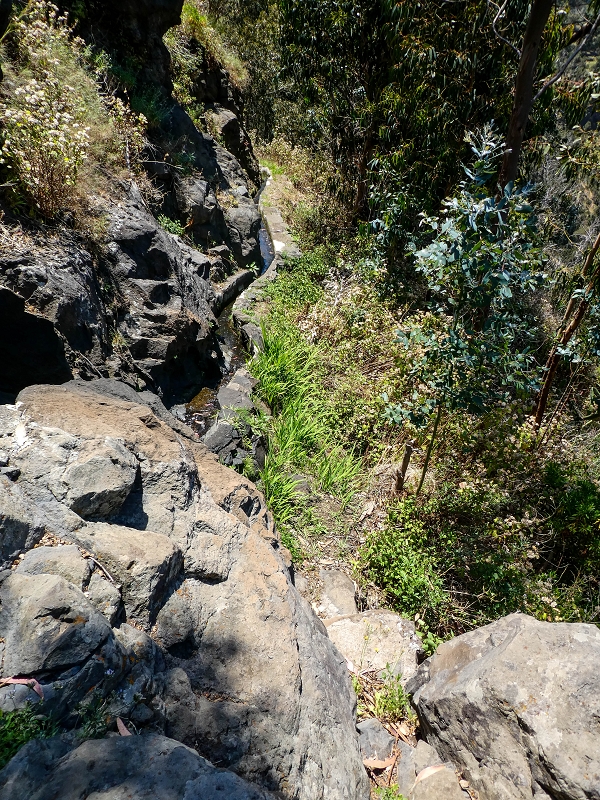13.05.2019 Ein neuer Aufstieg von Meia Legua nach Eira do Mourao, und die Rätsel der s der Levadas de Baixo und Meio — Na Levada de Baixo — foto 20