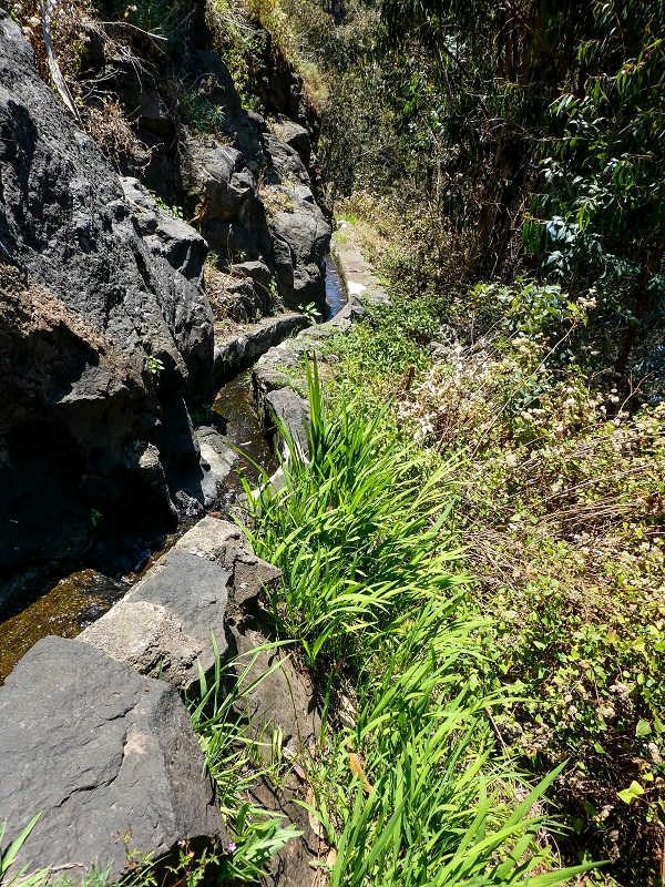 13.05.2019 Ein neuer Aufstieg von Meia Legua nach Eira do Mourao, und die Rätsel der s der Levadas de Baixo und Meio — Na Levada de Baixo — foto 21