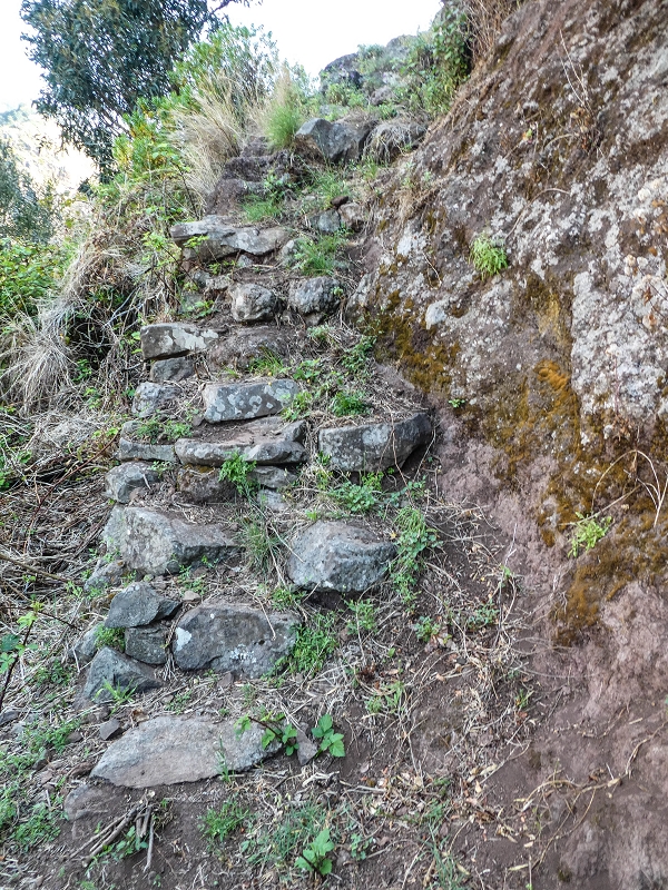 13.05.2019 Ein neuer Aufstieg von Meia Legua nach Eira do Mourao, und die Rätsel der s der Levadas de Baixo und Meio — Subida de Meia Legua até ao troço com corda — foto 22