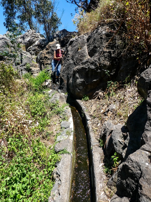 13.05.2019 Ein neuer Aufstieg von Meia Legua nach Eira do Mourao, und die Rätsel der s der Levadas de Baixo und Meio — Na Levada de Baixo — foto 22